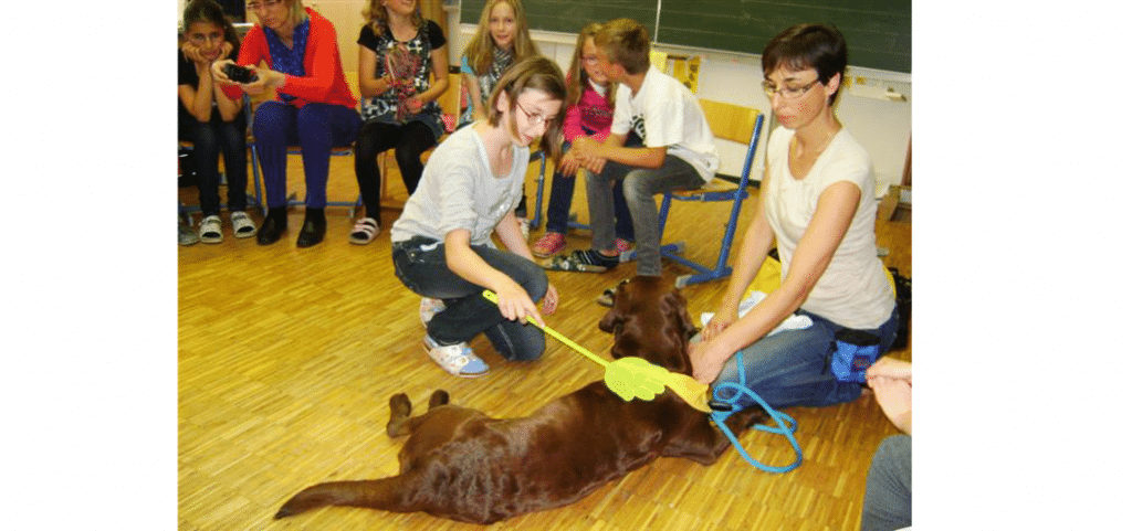 Therapy-dogs in training at school