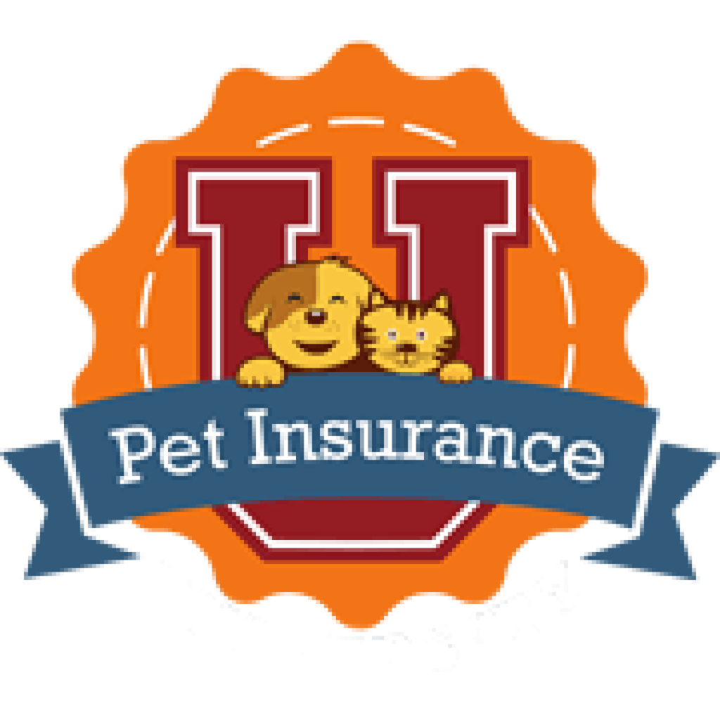 Best Dog and Puppy Insurance Companies 2021 PetInsuranceU
