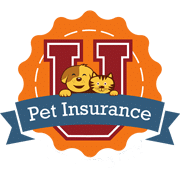 Pet Insurance U