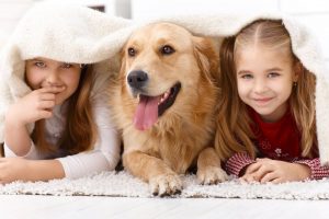 esurance pet insurance through petplan review